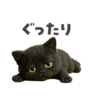 黒猫デイズ、時々ラブ！（個別スタンプ：33）