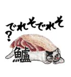 お寿司ねこbyにゃん吉ドーナツ（個別スタンプ：12）