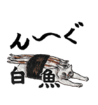お寿司ねこbyにゃん吉ドーナツ（個別スタンプ：13）