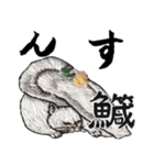 お寿司ねこbyにゃん吉ドーナツ（個別スタンプ：15）