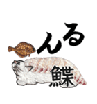 お寿司ねこbyにゃん吉ドーナツ（個別スタンプ：19）