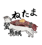 お寿司ねこbyにゃん吉ドーナツ（個別スタンプ：24）