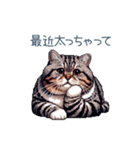おデブ猫ちゃん【面白い・ダイエット】（個別スタンプ：3）