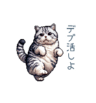 おデブ猫ちゃん【面白い・ダイエット】（個別スタンプ：13）