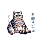 おデブ猫ちゃん【面白い・ダイエット】（個別スタンプ：17）