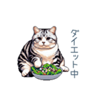 おデブ猫ちゃん【面白い・ダイエット】（個別スタンプ：22）