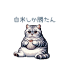 おデブ猫ちゃん【面白い・ダイエット】（個別スタンプ：29）