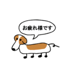 動物園とプリンの吹き出しスタンプ（個別スタンプ：24）