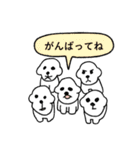 動物園とプリンの吹き出しスタンプ（個別スタンプ：40）