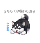 マラミュート カスタム（個別スタンプ：8）