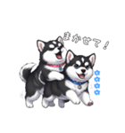 マラミュート カスタム（個別スタンプ：31）