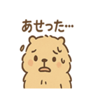 毎日使えるふわもこカピバラゆるセリフ（個別スタンプ：5）
