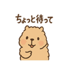 毎日使えるふわもこカピバラゆるセリフ（個別スタンプ：14）