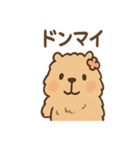 毎日使えるふわもこカピバラゆるセリフ（個別スタンプ：16）