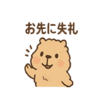 毎日使えるふわもこカピバラゆるセリフ（個別スタンプ：20）