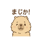 毎日使えるふわもこカピバラゆるセリフ（個別スタンプ：37）