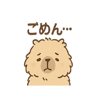 毎日使えるふわもこカピバラゆるセリフ（個別スタンプ：38）