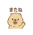 毎日使えるふわもこカピバラゆるセリフ（個別スタンプ：40）