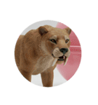 絶滅してしまった動物たちのプレミアム（個別スタンプ：4）