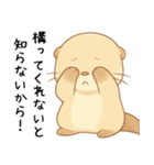 ツンデレ甘えたいカワウソ[カップル・恋人]（個別スタンプ：4）