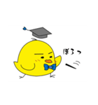 まだまだヒヨッ子（個別スタンプ：3）