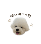 ラトくん☆mix（個別スタンプ：3）
