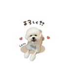 ラトくん☆mix（個別スタンプ：5）