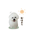 ラトくん☆mix（個別スタンプ：7）