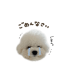 ラトくん☆mix（個別スタンプ：10）
