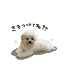 ラトくん☆mix（個別スタンプ：14）