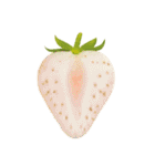 いちご素材集＊アレンジ自由（個別スタンプ：10）