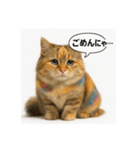 可愛い過ぎる癒し猫⓷（個別スタンプ：3）