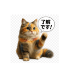 可愛い過ぎる癒し猫⓷（個別スタンプ：6）