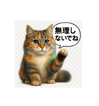 可愛い過ぎる癒し猫⓷（個別スタンプ：13）