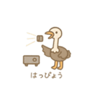 可愛い動物の仕事 日本語（個別スタンプ：16）