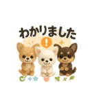 ふわふわチワワの まごころ便（個別スタンプ：2）