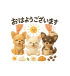 ふわふわチワワの まごころ便（個別スタンプ：5）