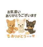 ふわふわチワワの まごころ便（個別スタンプ：17）