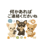 ふわふわチワワの まごころ便（個別スタンプ：19）