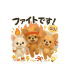 ふわふわチワワの まごころ便（個別スタンプ：33）