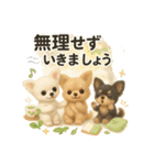 ふわふわチワワの まごころ便（個別スタンプ：34）