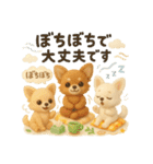 ふわふわチワワの まごころ便（個別スタンプ：35）