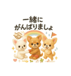 ふわふわチワワの まごころ便（個別スタンプ：36）
