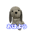 コボとあそぼ（個別スタンプ：1）