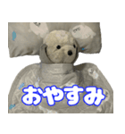コボとあそぼ（個別スタンプ：2）