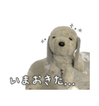 コボとあそぼ（個別スタンプ：3）