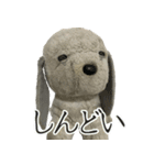 コボとあそぼ（個別スタンプ：5）