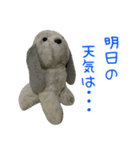コボとあそぼ（個別スタンプ：14）