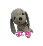 コボとあそぼ（個別スタンプ：19）