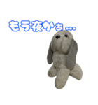 コボとあそぼ（個別スタンプ：20）